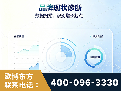 深圳-品牌现状诊断